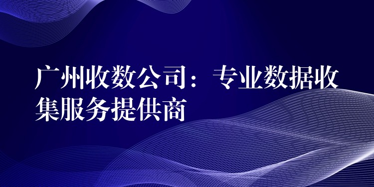 广州收数公司：专业数据收集服务提供商——精准、高效、合规，助力企业决策制胜
